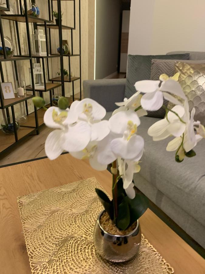 Moderno Apartament Краков Экстерьер фото